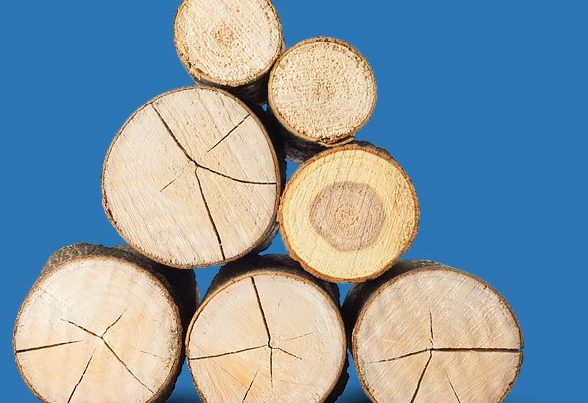 Timber marking stacked logs photo- Forecast Technology's synthetic DNA tagging product