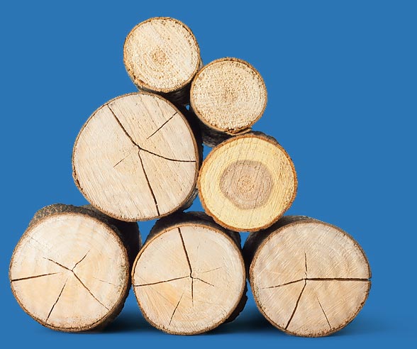 Timber marking stacked logs photo- Forecast Technology's synthetic DNA tagging product